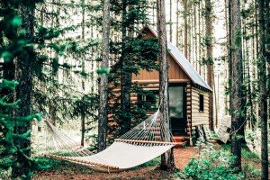  smoky mountains cabins
