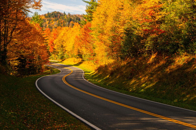 Fall foliage in the smoky mountains