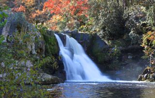 Best summer hikes in the smokies