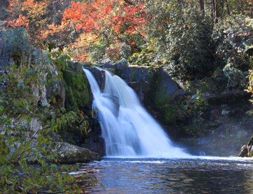 Hit the Trails with the Best Summer Hikes in the Smokies