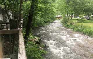 Minimize Your Environmental Impact